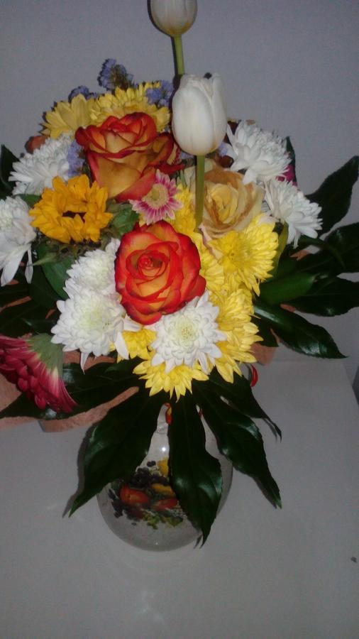 פורטו Apartamentos Villa Bolhao מראה חיצוני תמונה